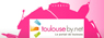 Toulouse by Net